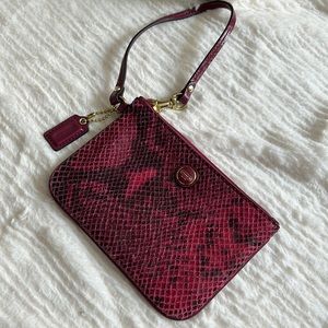 Coach snake print wristlet Outlet